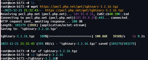 image-20251221213330892